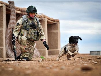 Soldier killed alongside dog given new honour