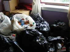 Scottish rubbish cost tax payers £92m in one year