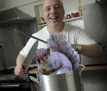 Chef predicts diners will “go nuts” for squirrel stew