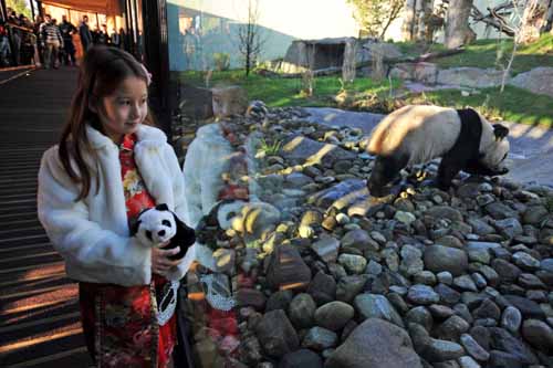 Tian Tian, meet Tian Tian: panda gets new friend