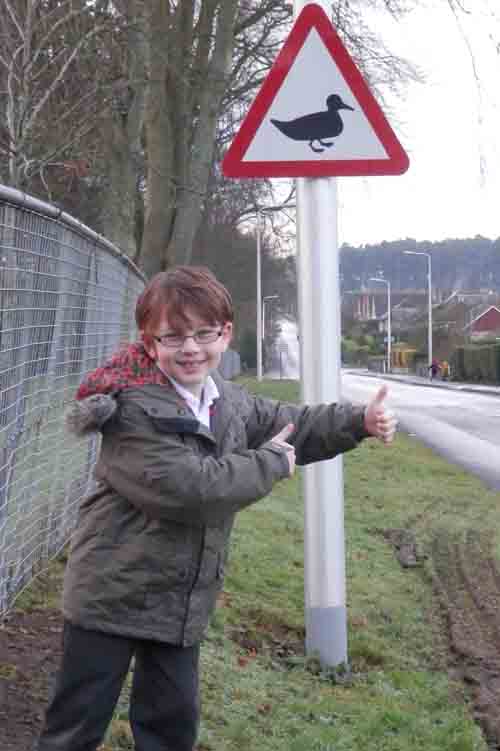 Seven-year-old persuades council bosses to install duck crossing