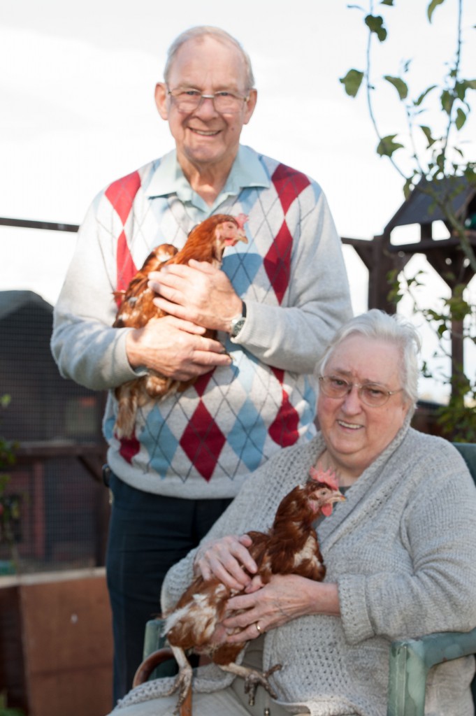 Hensioners, chicken rescue