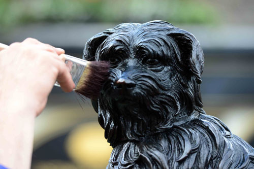 The statue of ScotlandÕs most famous dog, Greyfriars Bobby, is to get a facelift this week following a Facebook campaign that highlighted how the practice of rubbing the statueÕs nose for luck was wearing off the colour on his nose.