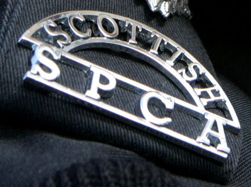 The Scottish SPCA is appealing for information 