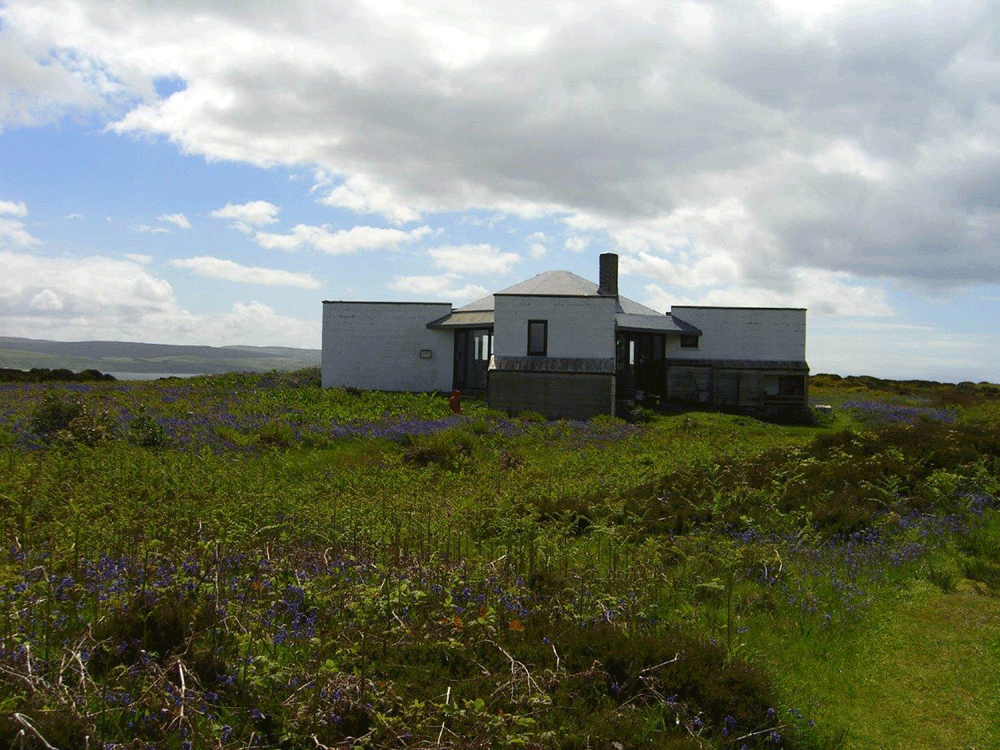 The unique modernist house