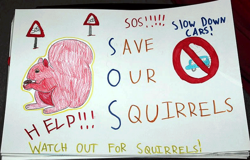SQUIRREL_SIGN_KDS_DN_03web