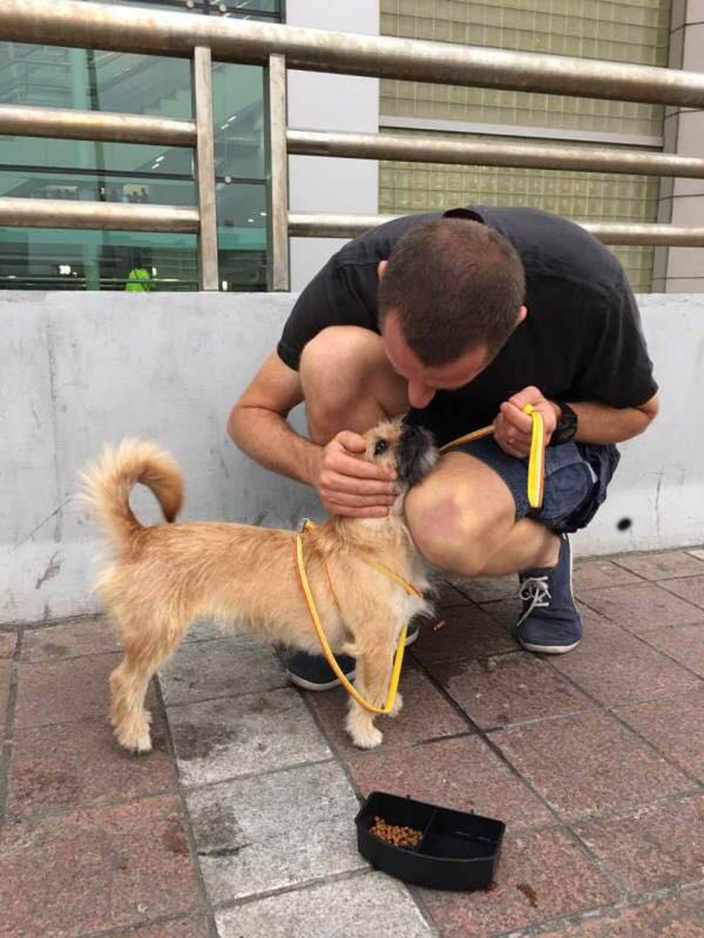 The lovable pooch nuzzles into his new owner before boarding the flight.