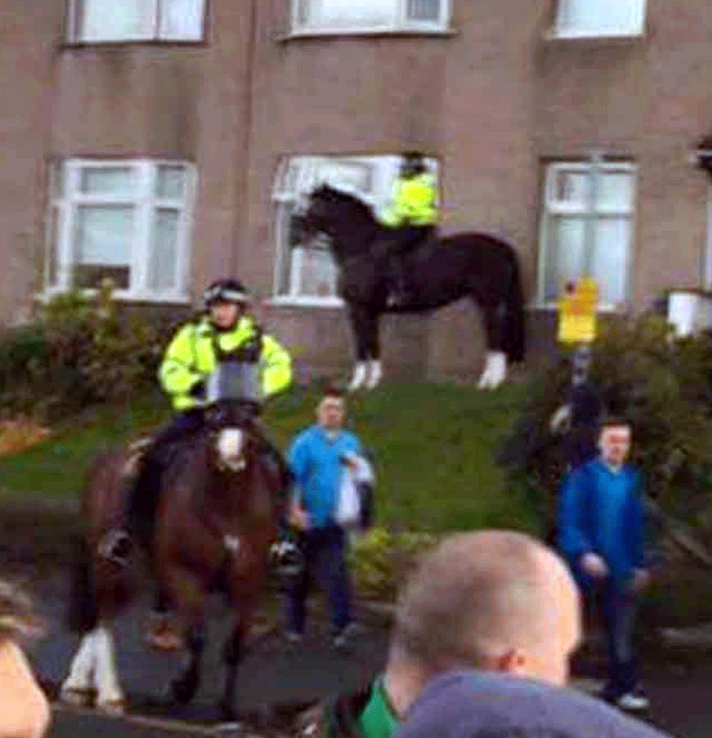 The police horse ended up in someone's garden