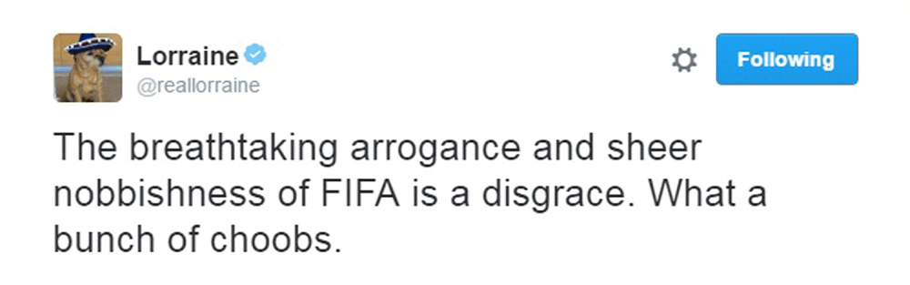 The TV star branded FIFA a "bunch of choobs"