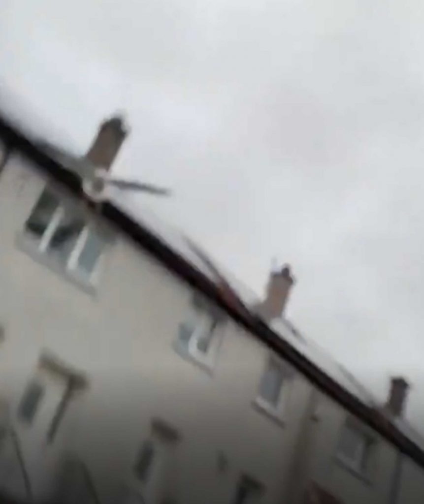 Bricklayer captures terrifying footage of seagull swooping down as he tries to enter his home