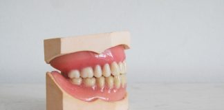 False teeth - Research News Scotland