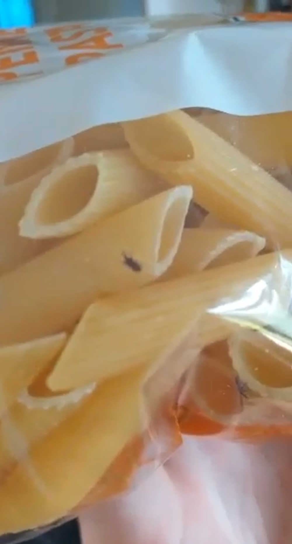 Pasta with bugs