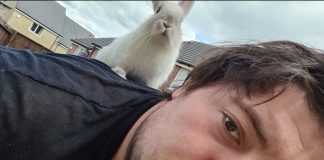 A picture of a man and a rabbit - Viral News UK
