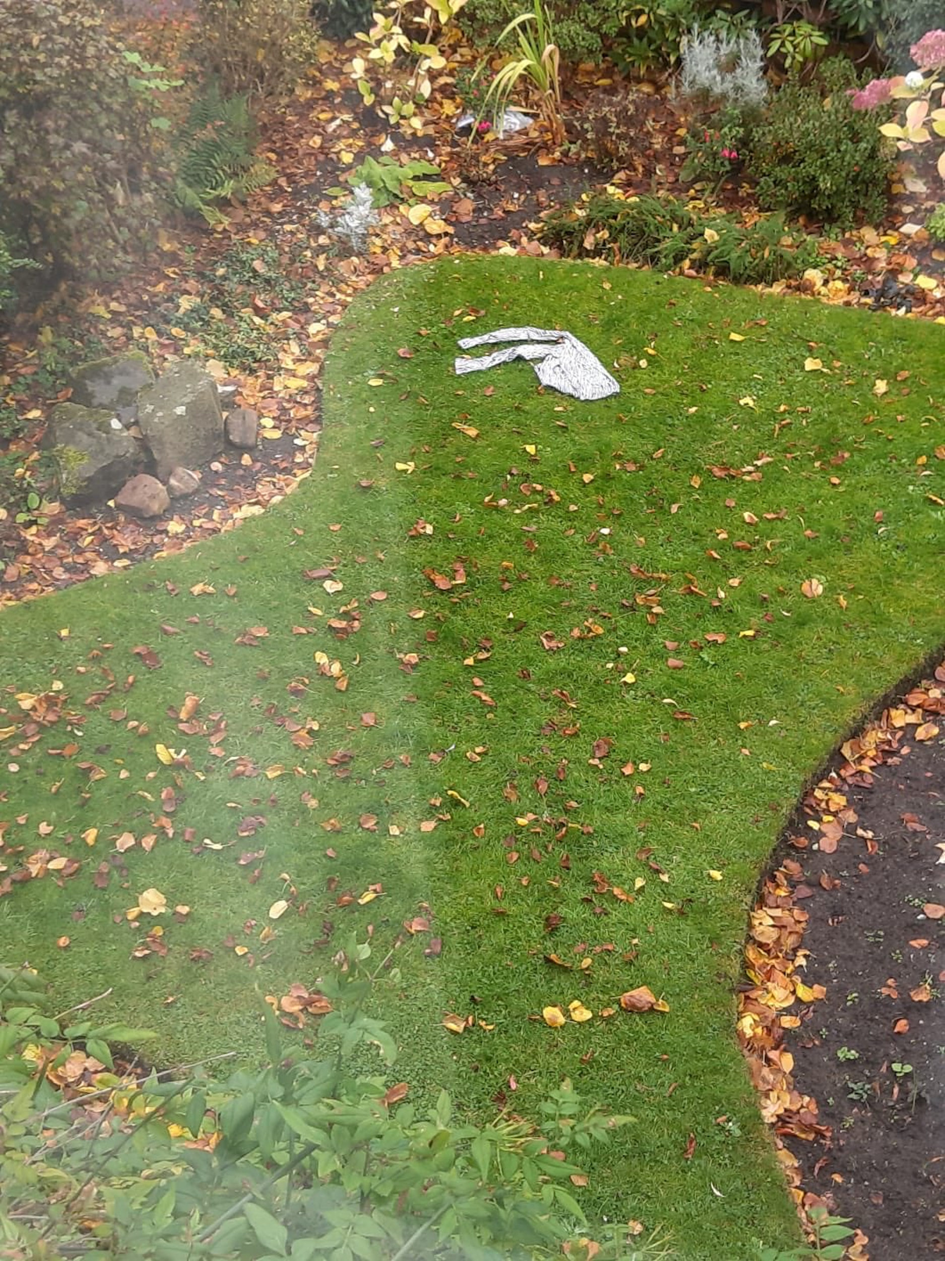 A pair of trousers lying on some grass - Consumer News UK