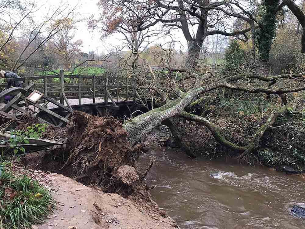   HEARTBREAKING images show how the iconic bridge from the Winnie-the-Pooh books has been "closed indefinitely" after being demolished by a fallen tree - Nature News Scotland/UK