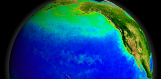 The Pacific Ocean’s currents image - Research News Scotland