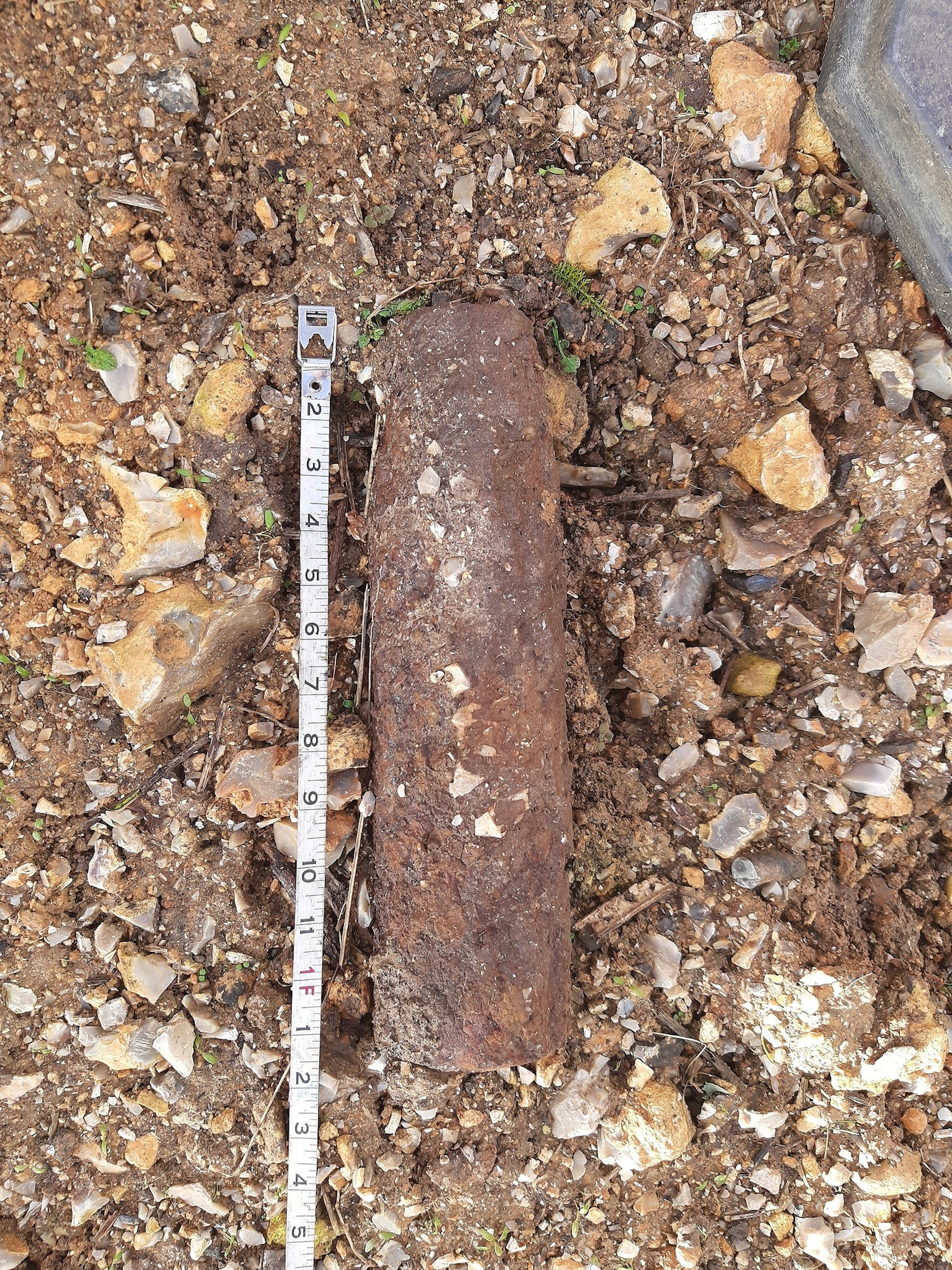 Unexploded WW2 bomb - Environmental News