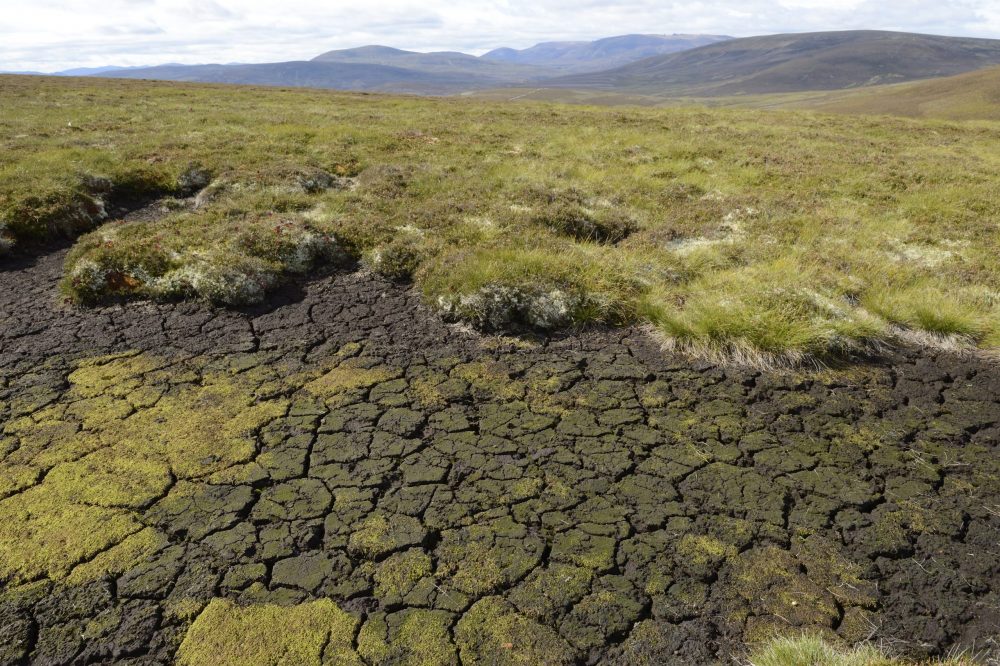 Increased risk of extreme droughts in Scotland over next two decades - Nature News Scotland/UK