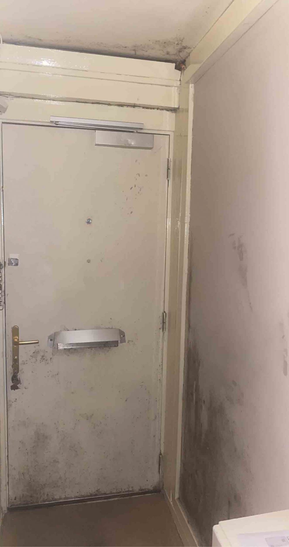Mould infested door | Scottish News