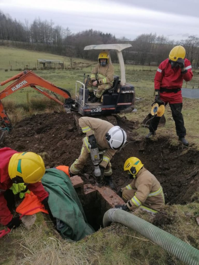 Horse stuck in hole rescued - Nature News UK
