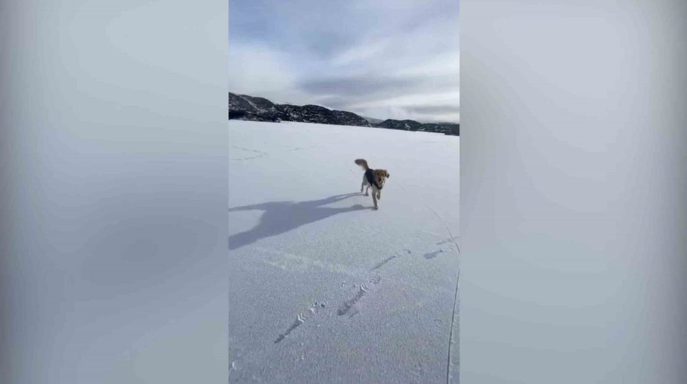 Stunning video shows man ice skating on a frozen Loch Skeen with his adorable dog - Viral Video News Scotland