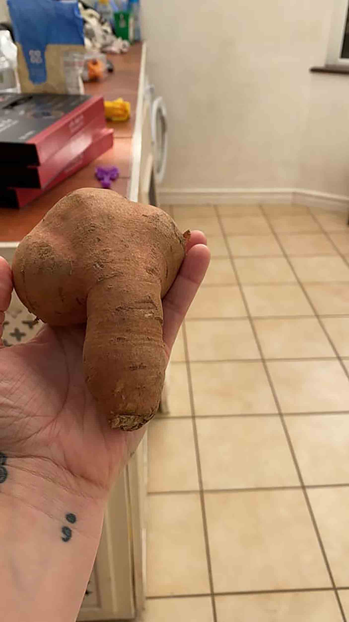 Security guard shocked after finding "realistic" willy-shaped sweet potato - Consumer News UK