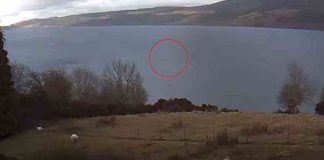 Nessie spotted on Loch Ness - Scottish News