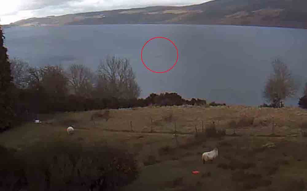 Nessie spotted on Loch Ness - Scottish News