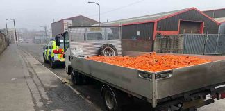 Police fine driver after discovering huge amount of carrots - Police News UK