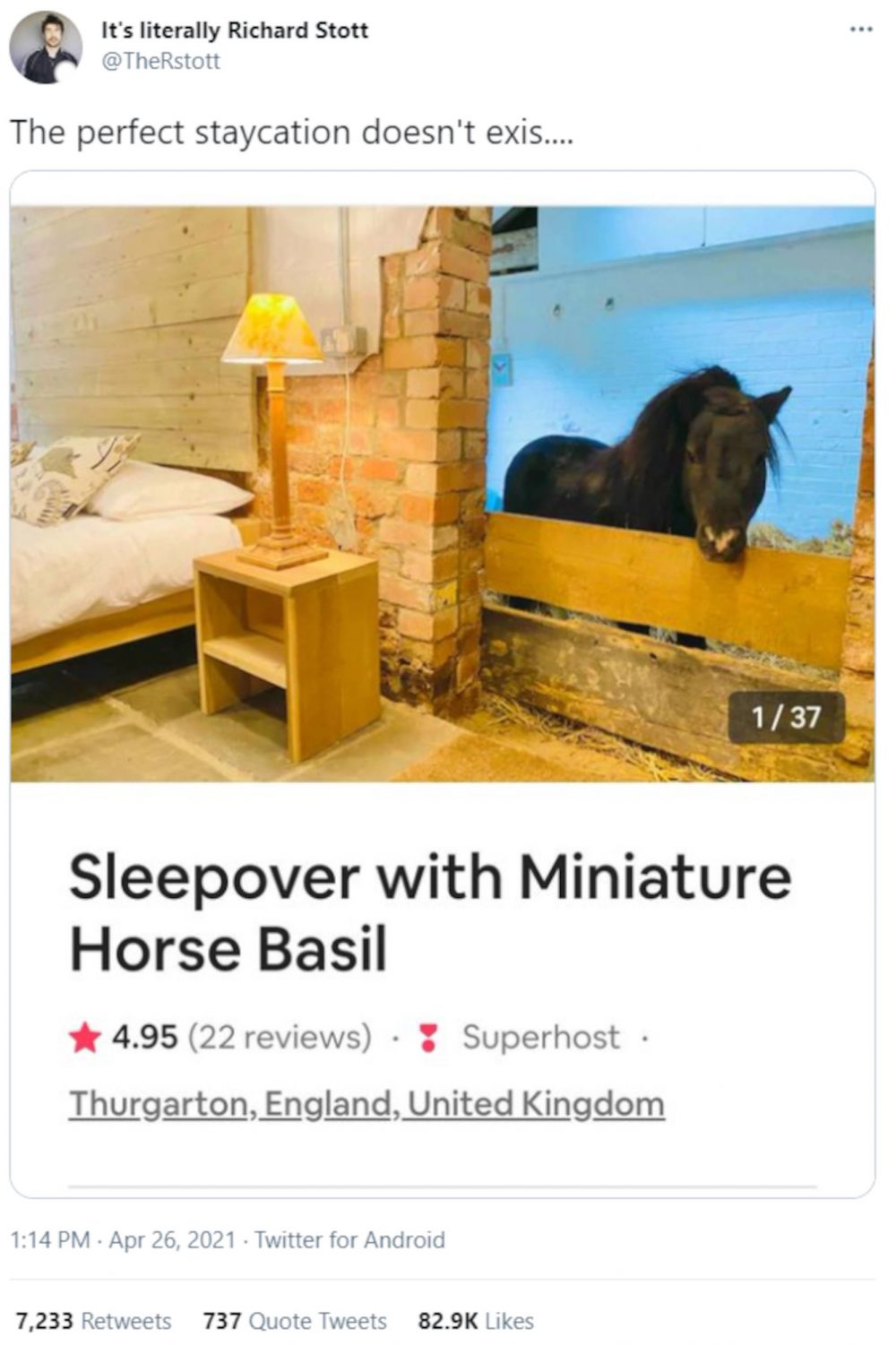 Horse Airbnb | Property News