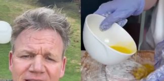 GORDON Ramsay has roasted an American for her deep fried grilled sandwich saying “it looks like a deep fried hockey puck". - Scottish News