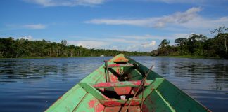 Amazon river with boat| Uk and World