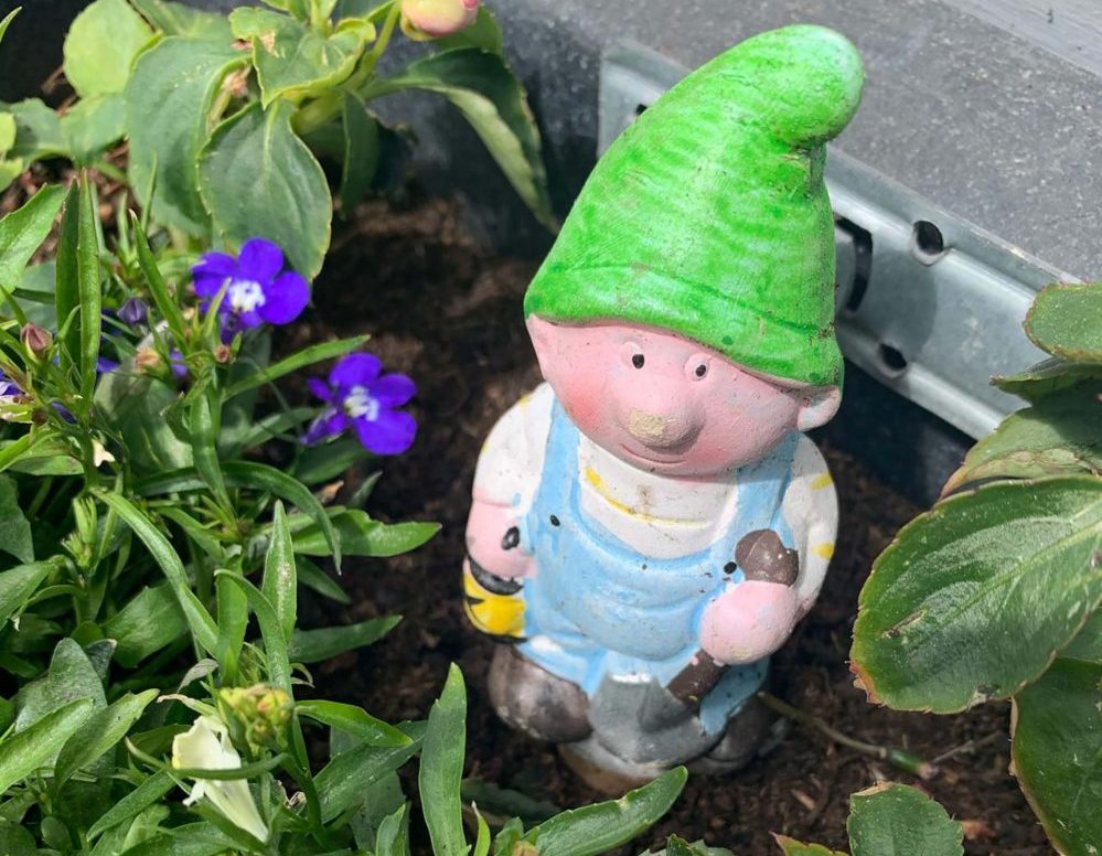 The kidnapped gnome currently has no name - Scottish News