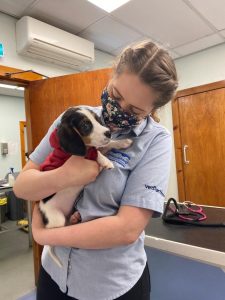 Reggie enjoys a cuddle from Clyde Veterinary Hospital vet Fabienne Giraud - Scottish News