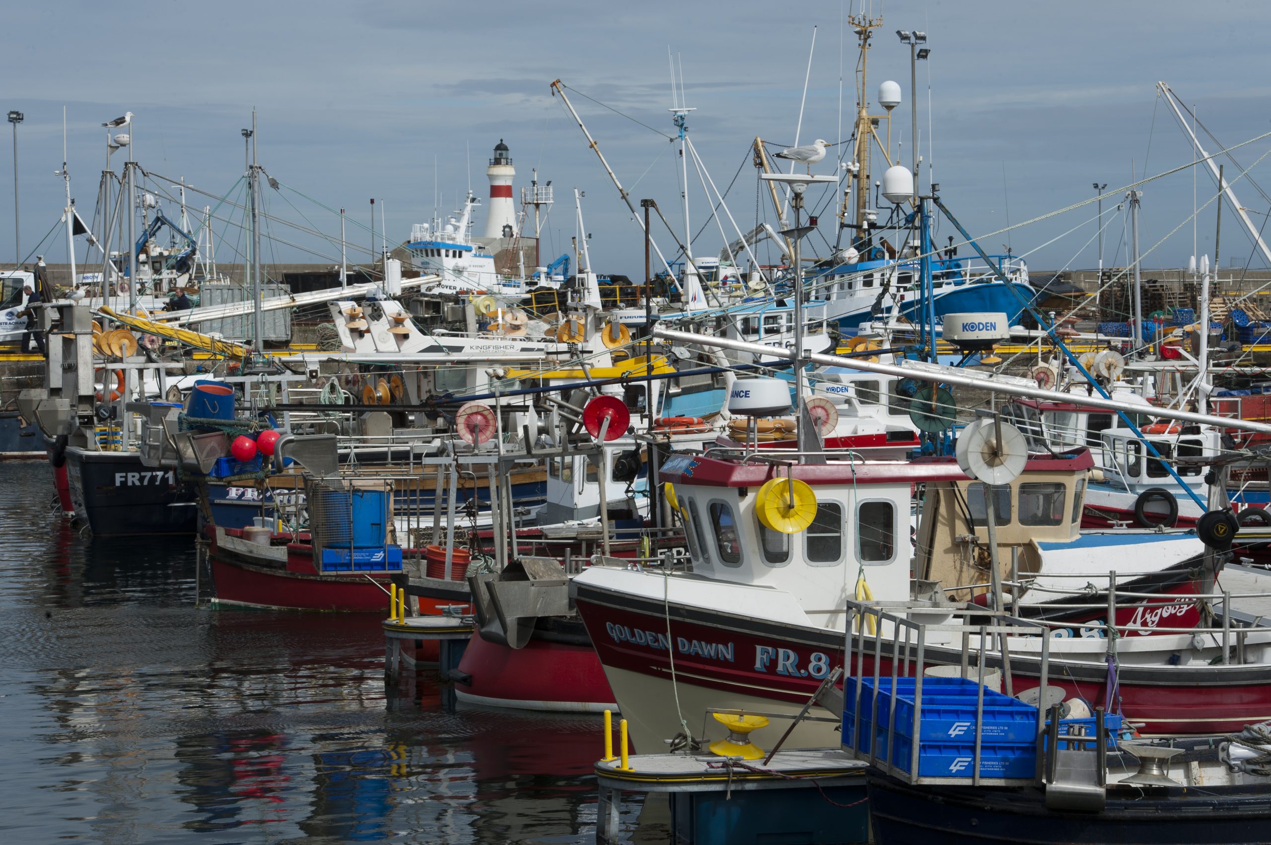 Seafish - Research News Scotland