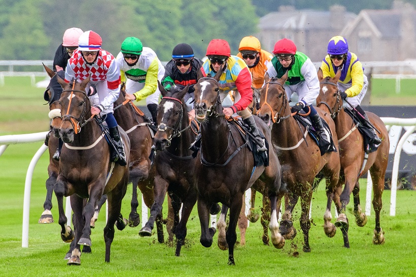 Horses racing at Musselburgh - Musselburgh Horse Racing