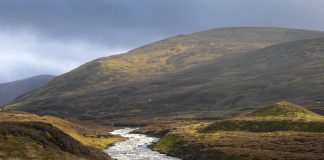 The Scottish Government have announced funding to safeguard wildlife and tackle biodiversity loss - Scottish News