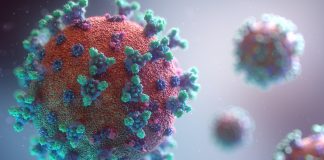 coronavirus - Health News Scotland