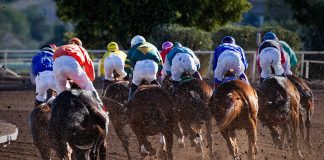 horse race - scottish news