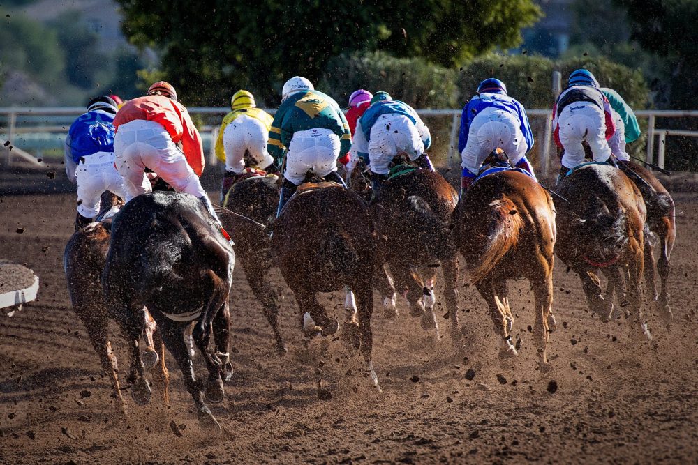 horse race - scottish news