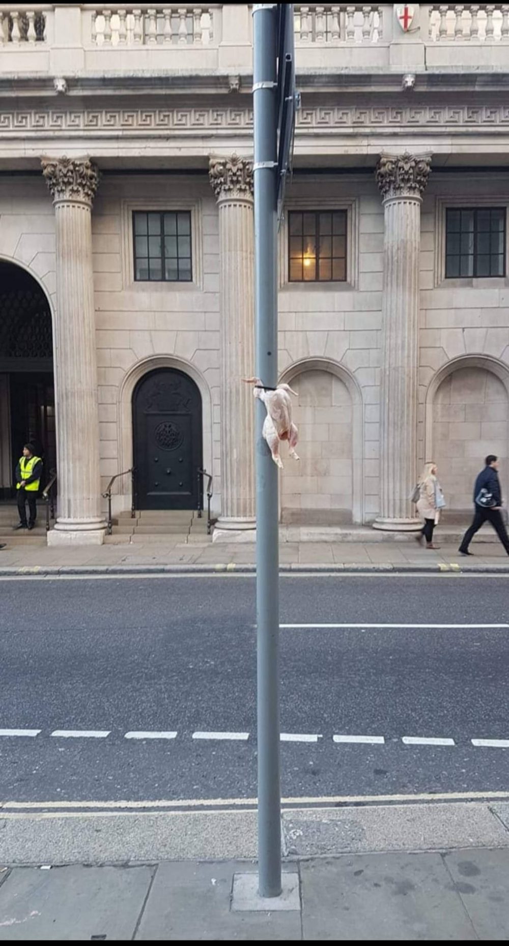 Chicken cable tied to a sign post | London News