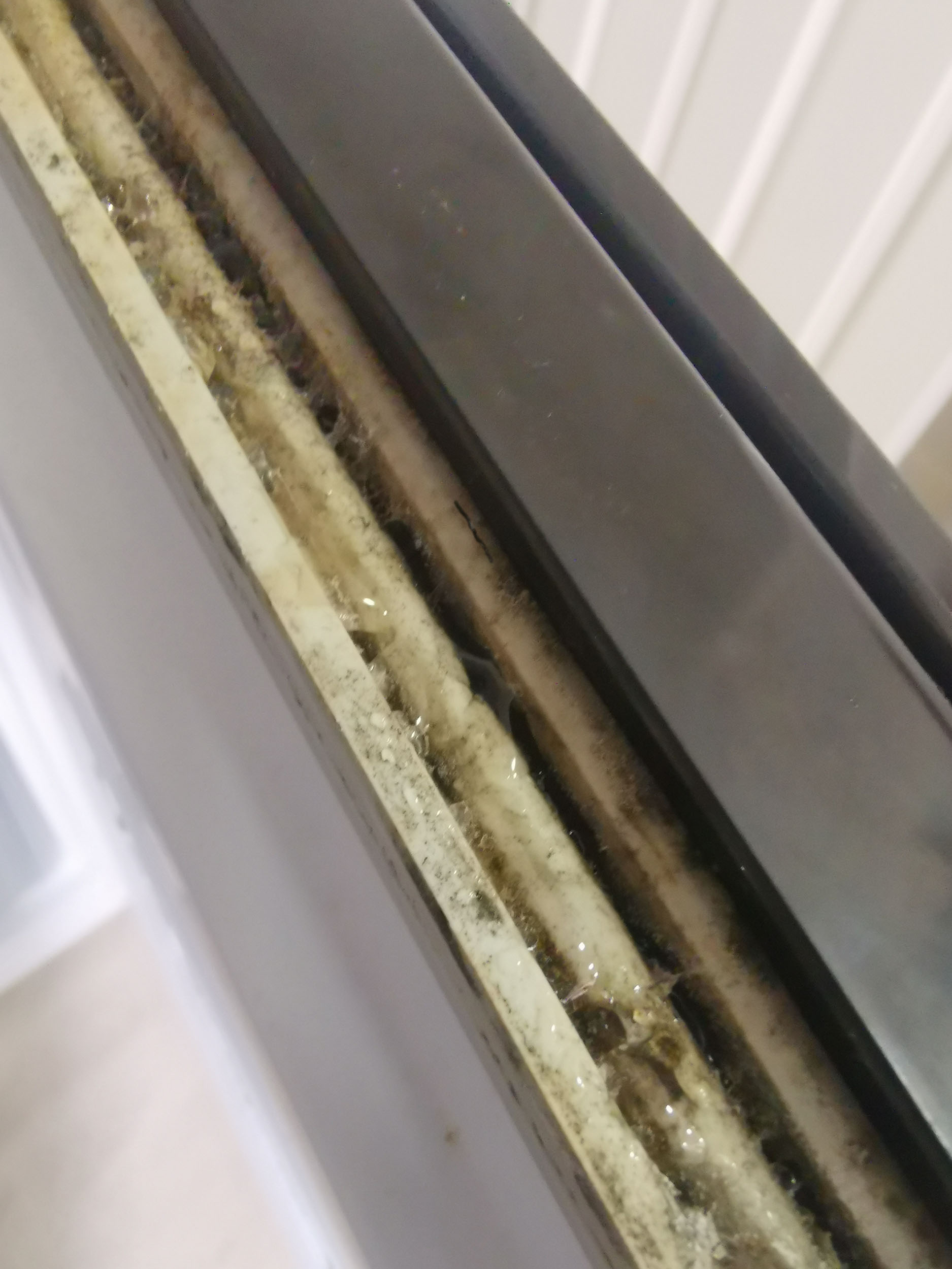 Mould-covered fridge in holiday rental - Tourism News UK