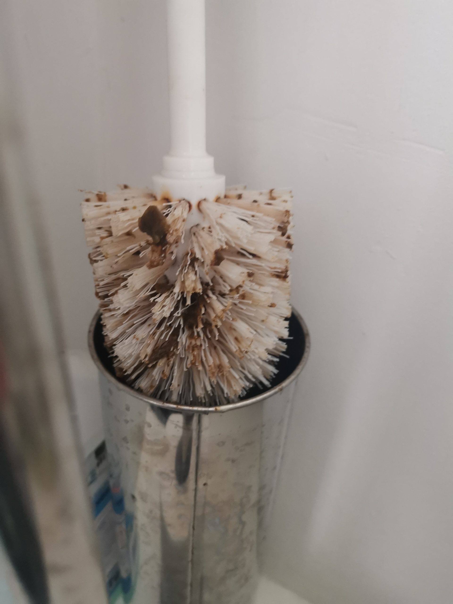 Poo-covered toilet brush found in holiday apartment - Tourism News Uk