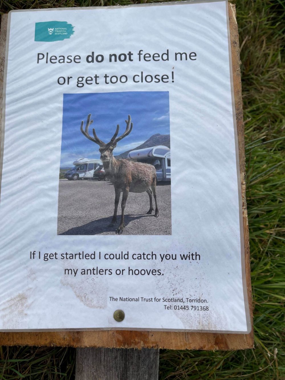 Don't feed stags sign - Wildlife News Scotland