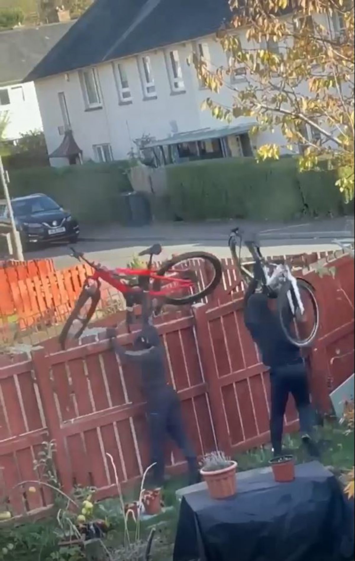 The thieves in the middle of throwing the bikes over the garden fence.