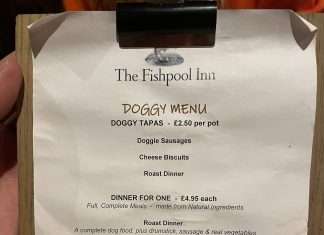 The dog menu