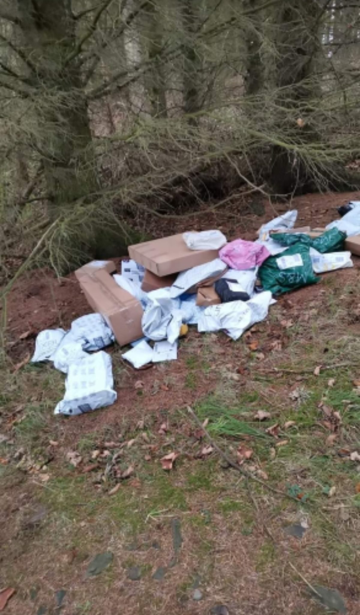 Pile of parcels abandoned in the woods.
