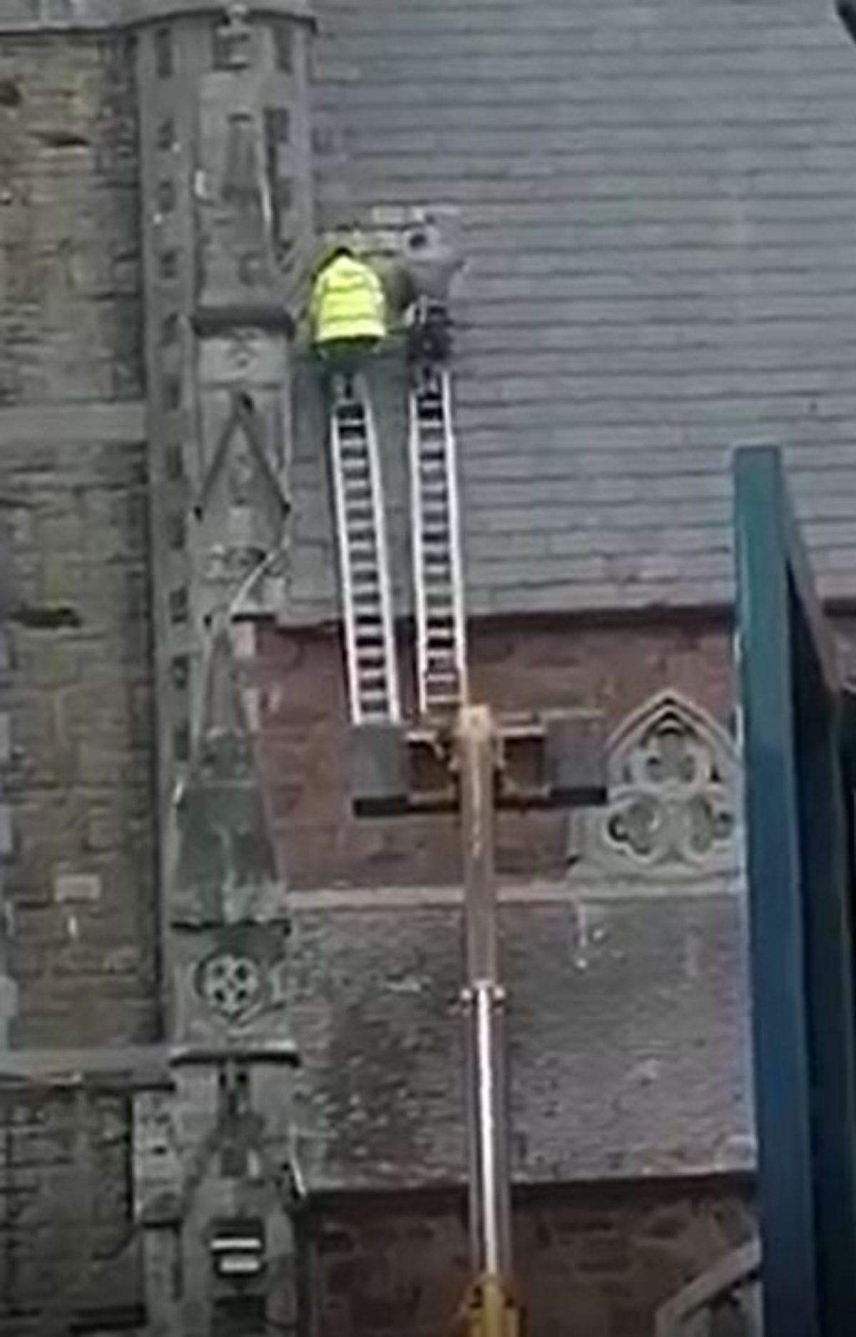 Both workmen stand on each ladder