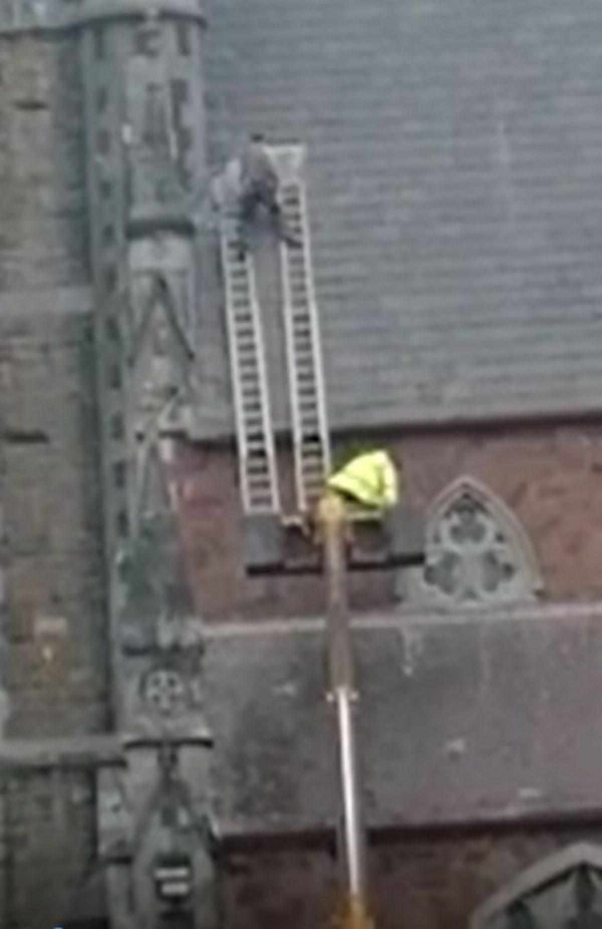 The workman stands between two ladders