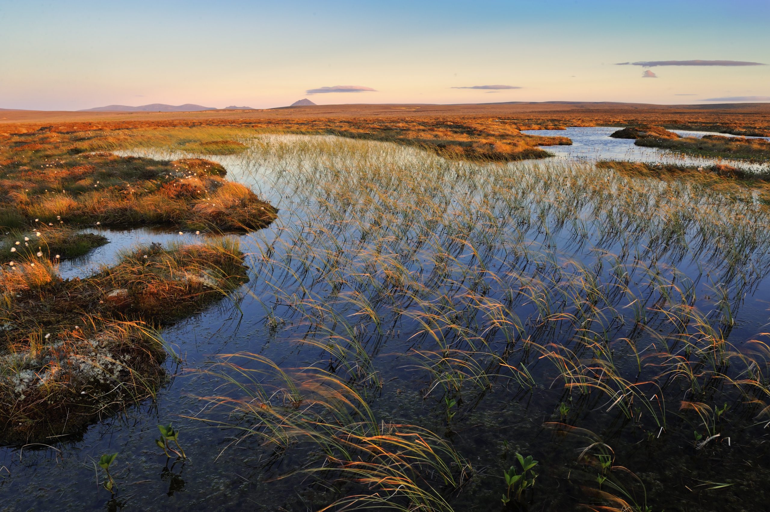 NatureScot launch recruitment for peatland restoration jobs - Environment News